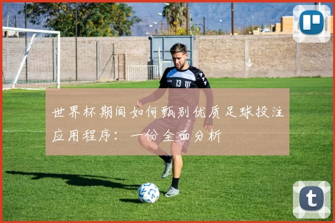 世界杯期间如何甄别优质足球投注应用程序:一份全面分析