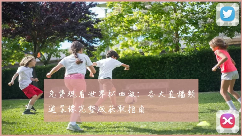 免费观看世界杯回放:各大直播频道录像完整版获取指南