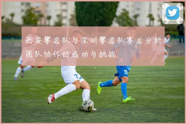 西安攀岩队与深圳攀岩队赛后分析团队协作的成功与挑战