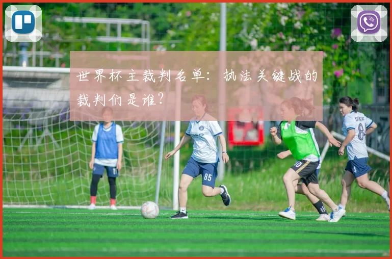 世界杯主裁判名单:执法关键战的裁判们是谁?