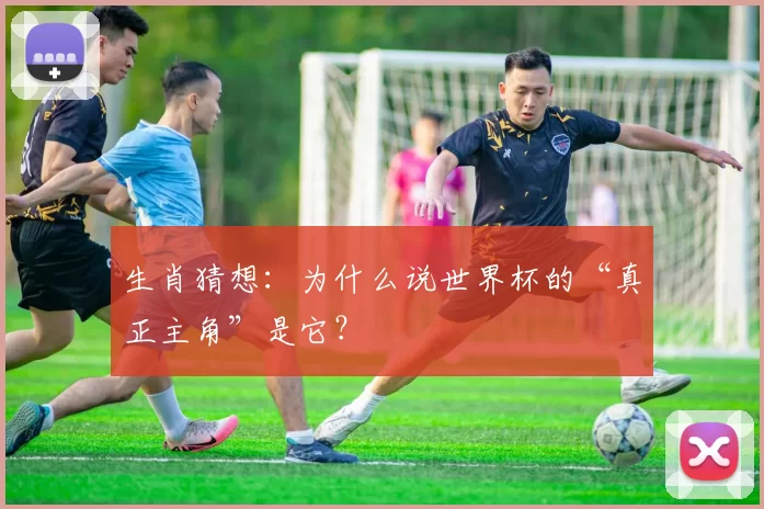 生肖猜想:为什么说世界杯的“真正主角”是它?