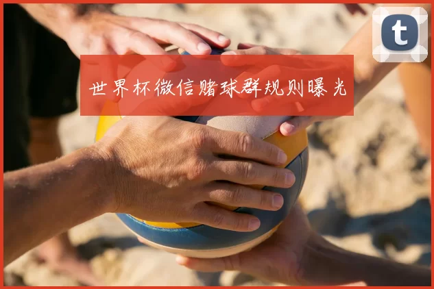 世界杯微信赌球群规则曝光