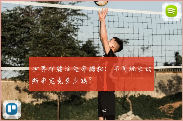 世界杯赌注倍率揭秘:不同玩法的赔率究竟多少钱?
