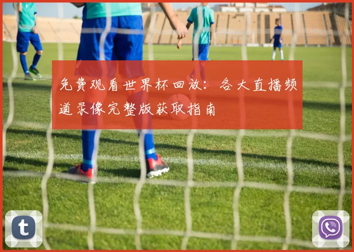 免费观看世界杯回放:各大直播频道录像完整版获取指南