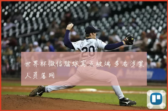 世界杯微信赌球窝点被端 多名涉案人员落网