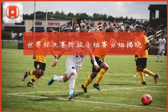 世界杯决赛阶段小组赛分组揭晓