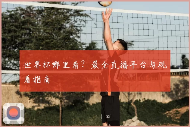世界杯哪里看?最全直播平台与观看指南