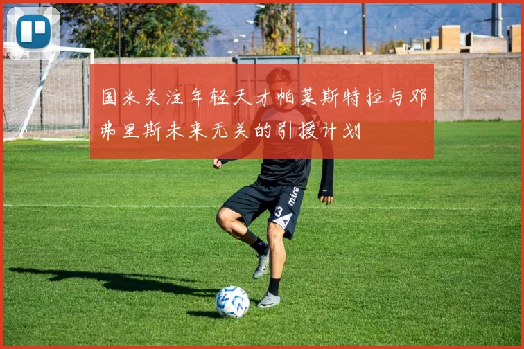 国米关注年轻天才帕莱斯特拉与邓弗里斯未来无关的引援计划
