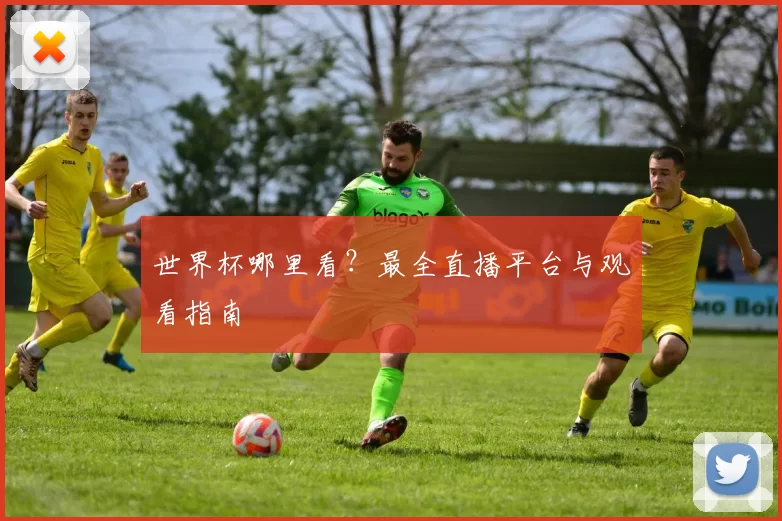 世界杯哪里看?最全直播平台与观看指南