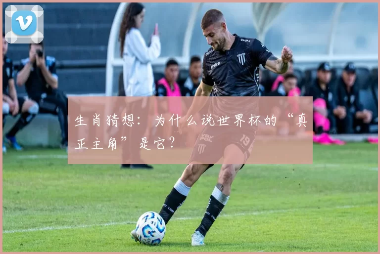 生肖猜想:为什么说世界杯的“真正主角”是它?