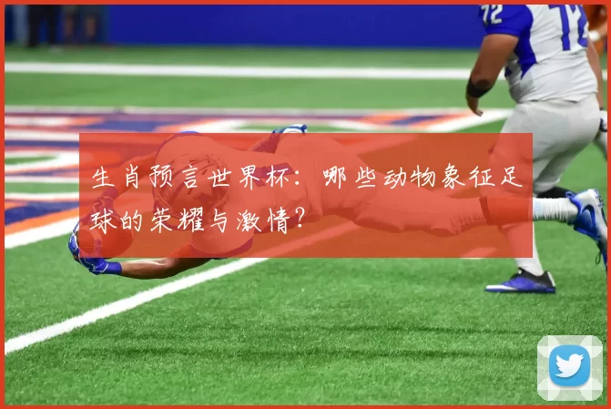 生肖预言世界杯:哪些动物象征足球的荣耀与激情?